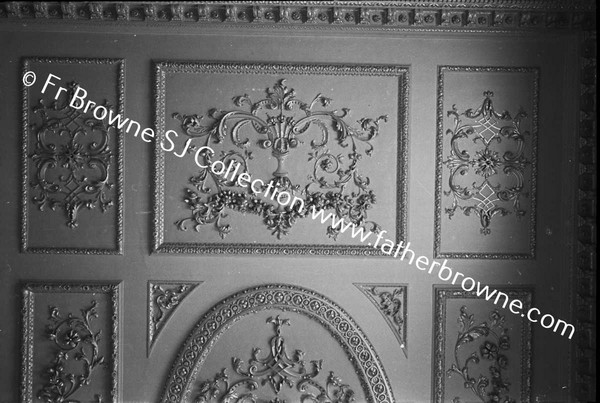 ARAS AN UACHTARAIN DETAIL OF DRAWING ROOM CEILING